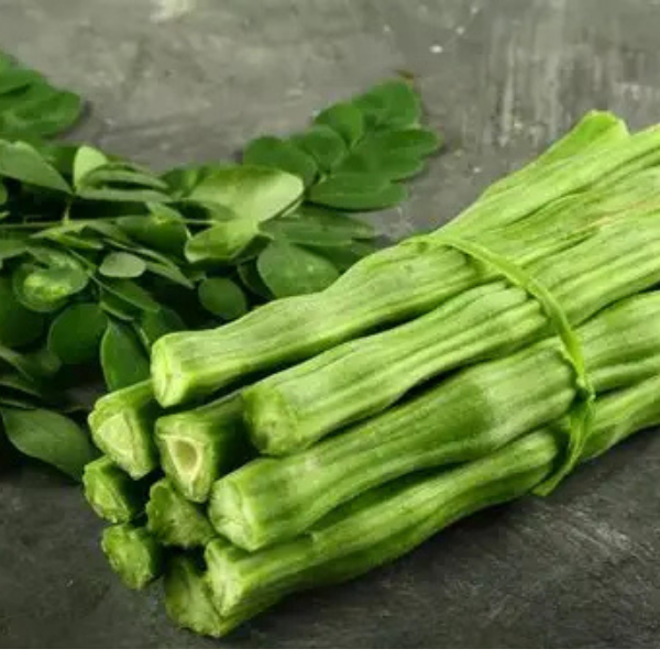 Drumstick (Moringa)