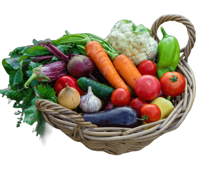 Fresh Vegetables